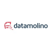 Datamolino Logo