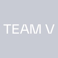 Team V Architectuur Logo