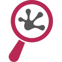 Leapfrog Internet Marketing Logo