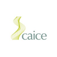 Caice Logo
