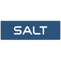 Salt (market research company) Logo