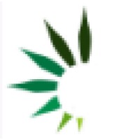 TRANSAMBIENTAL Logo