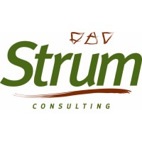 Strum Consulting Logo