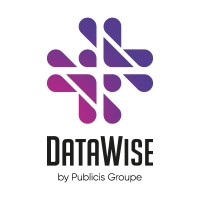 DataWise Logo