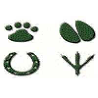 The Minster Veterinary Practice Ltd Logo
