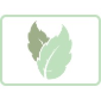 Mint Hair Ltd Logo