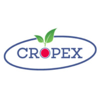 Cropex For Export & Import Logo