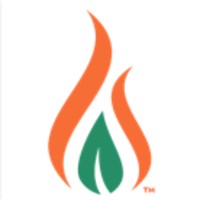 Spiritus Solutions Inc. Logo