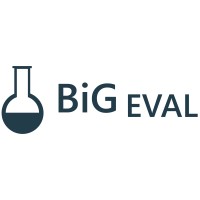 BiG EVAL Logo