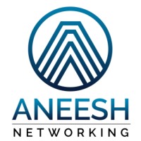 Aneesh Networking Logo