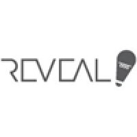 REVEAL Business Group Logo