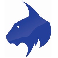 Blue Lynx | Technology Solutions Logo