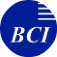 Business Consulting Institute Logo