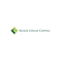 Black Collie Capital Logo