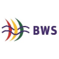 Blue Wind Systems NA, Inc Logo