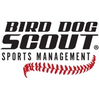Bird Dog Scout LLC Logo