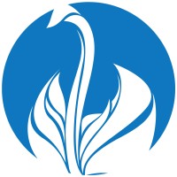 Vision to Purpose Logo