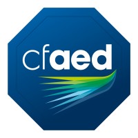 cfaed - Center for Advancing Electronics Dresden Logo