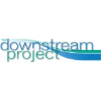 The Downstream Project Logo