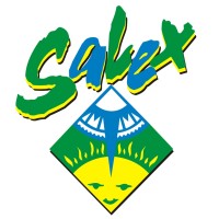 SALEX GAMING BRAZIL Logo