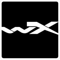 Wiley X Logo
