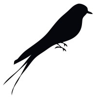 The Woods & Co Logo