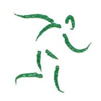 Healing Therapeutics Physical Therapy PLLC Logo