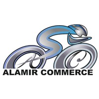 Alamir Commerce - بازرگانی علامیر Logo