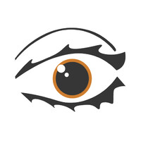 Full Vision Studio Logo