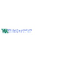 Williams & Company Consulting, Inc. Logo