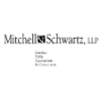 Mitchell & Schwartz Consulting Group Logo