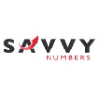 Savvy Numbers Logo