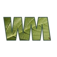 Willow Media Logo