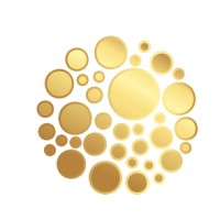 Arya Women Investment Platform Logo