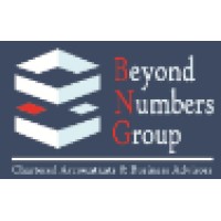 Beyond Numbers Group Pty Ltd Logo