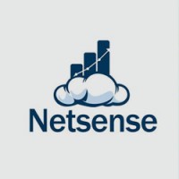 Netsense Business Solutions Asia Logo