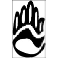 Hand Therapy Solutions Logo