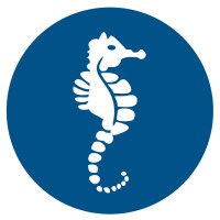 Memphis Pool Logo