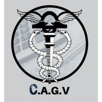 CAGV Assessoria Contábil Ltda Logo