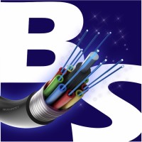 Bs News Internet Logo