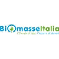 Biomasse Italia SpA Logo
