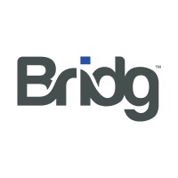Bridg Logo