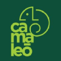 Camaleó Creative Logo