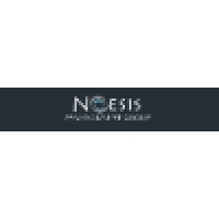 Noesis Management Group Logo
