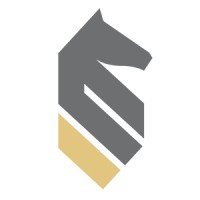 StrategyWise Logo