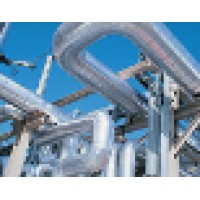 Blue Dolphin Energy Company Logo