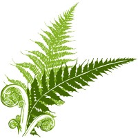 St. Louis Wellness Center Logo