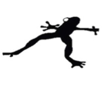 StageLeap Logo