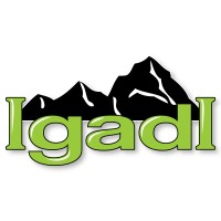 IgadI, Ltd. Logo