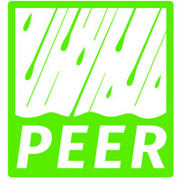 PEER Environmental, LLC Logo